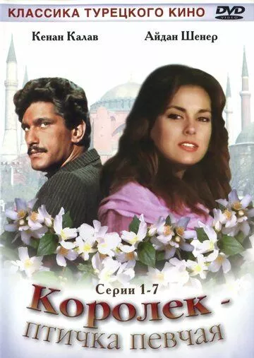 Турецкий сериал Королёк – птичка певчая смотреть онлайн